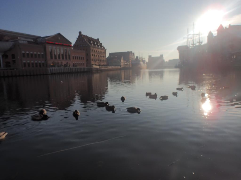Apartament Nadmorski Gdansk Zoppot Zimmer foto